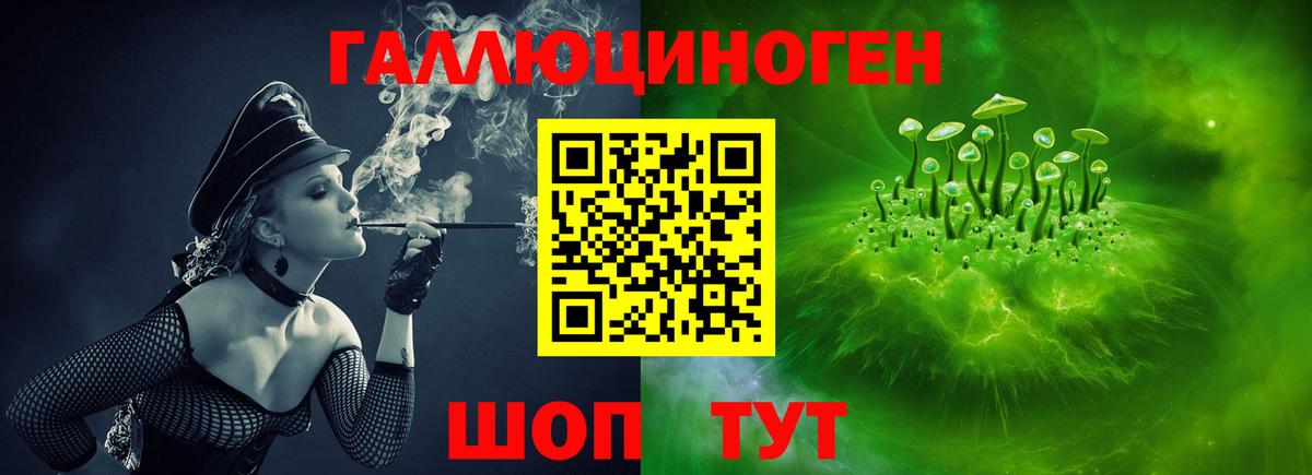Кировск  закладка  Вход с VPN  Псилоцибиновые грибы Psilocybe 